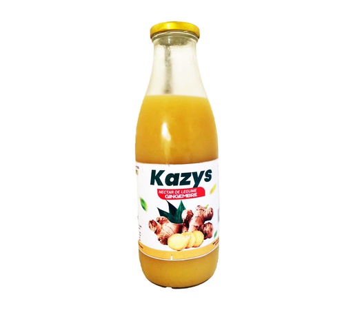 KAZYS