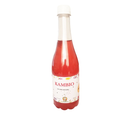 KAMIBIO